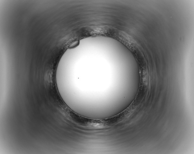 X0000086890514200704300959