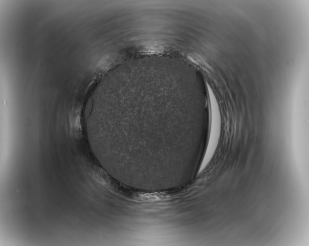 X0000086890516200704300959