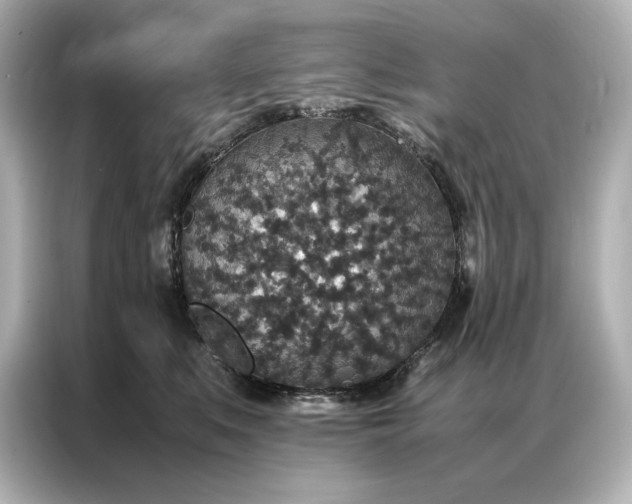 X0000086890519200704300959