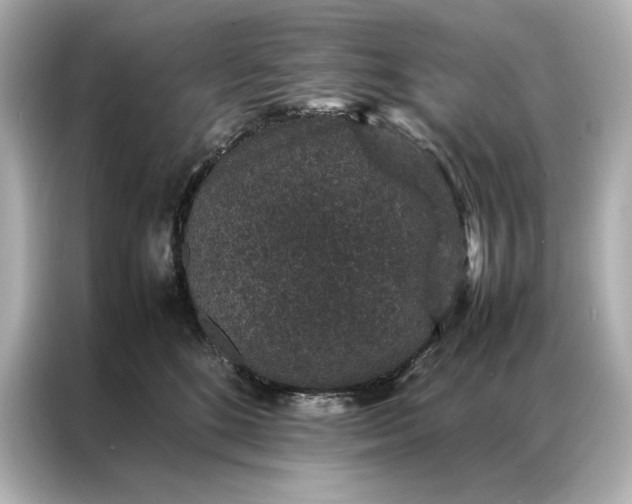 X0000086890520200704300959