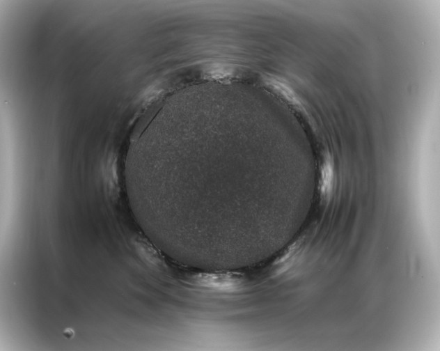 X0000086890524200704300959