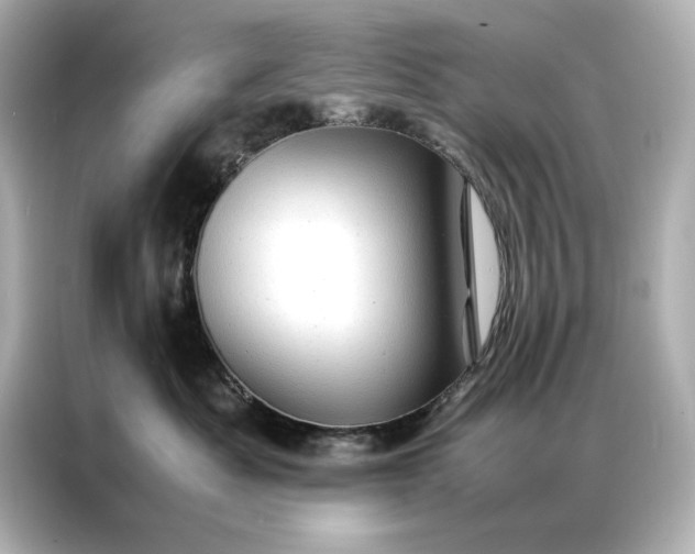 X0000086890525200704300959