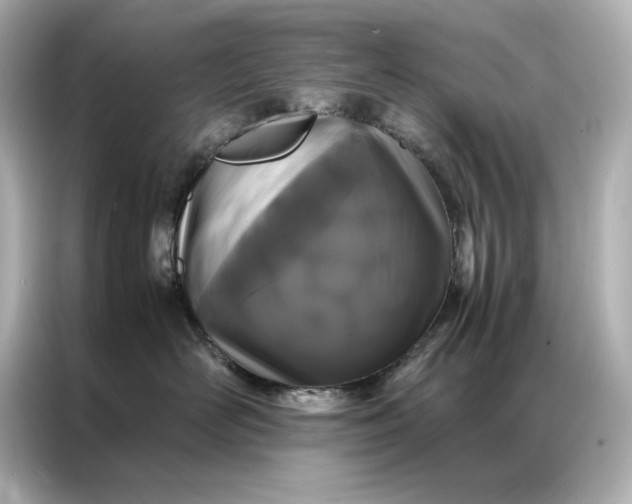 X0000086890526200704300959