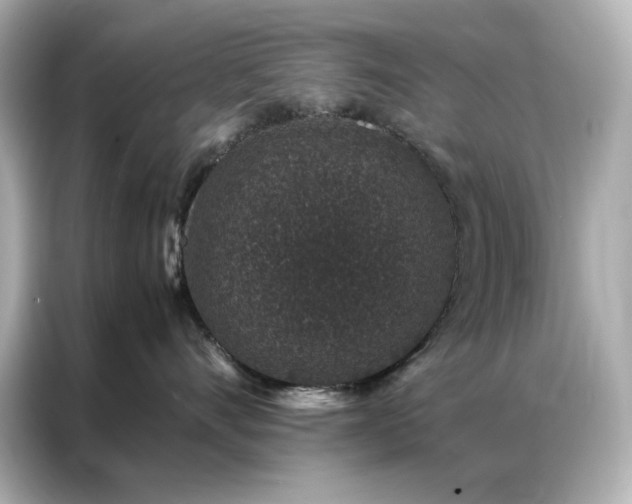 X0000086890528200704300959