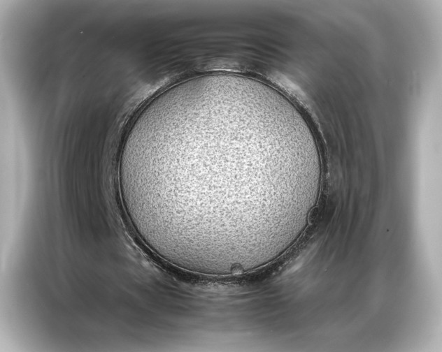 X0000086890529200704300959