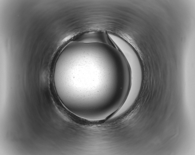 X0000086890530200704300959