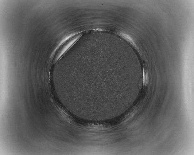 X0000086890531200704300959