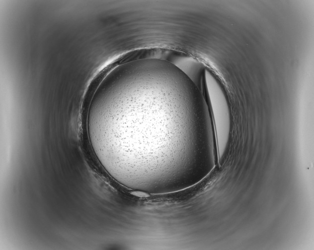 X0000086890532200704300959