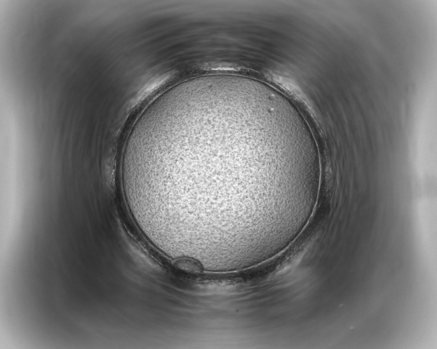 X0000086890533200704300959