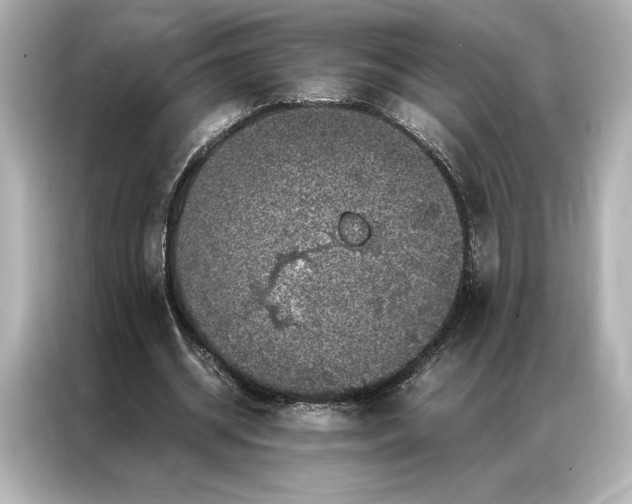 X0000086890534200704300959