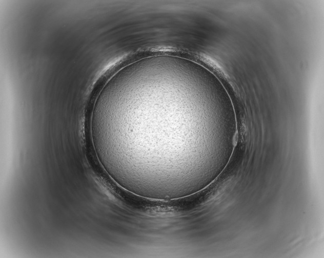 X0000086890535200704300959