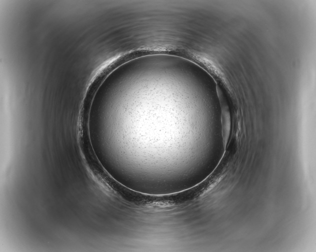 X0000086890536200704300959