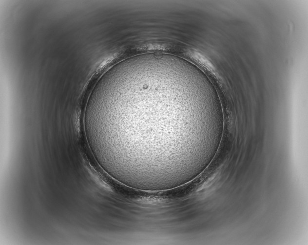 X0000086890537200704300959