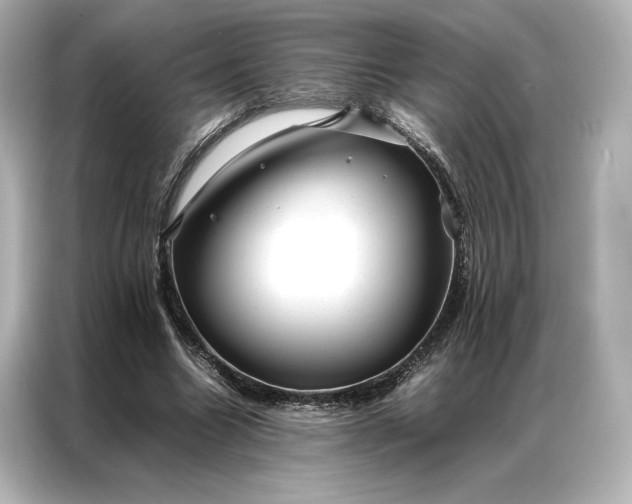 X0000086890538200704300959