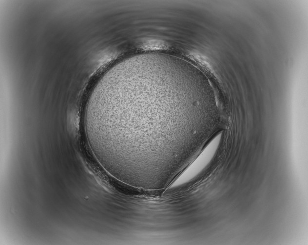 X0000086890539200704300959