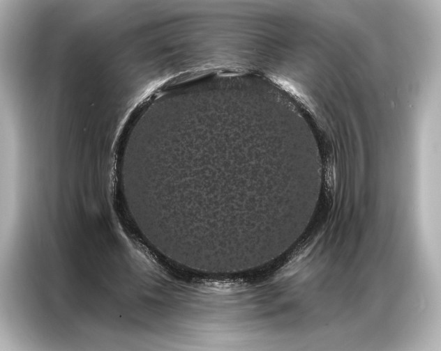 X0000086890540200704300959