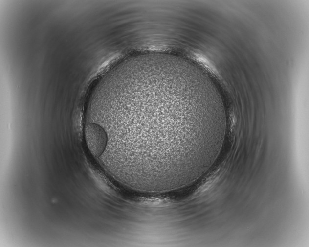 X0000086890542200704300959