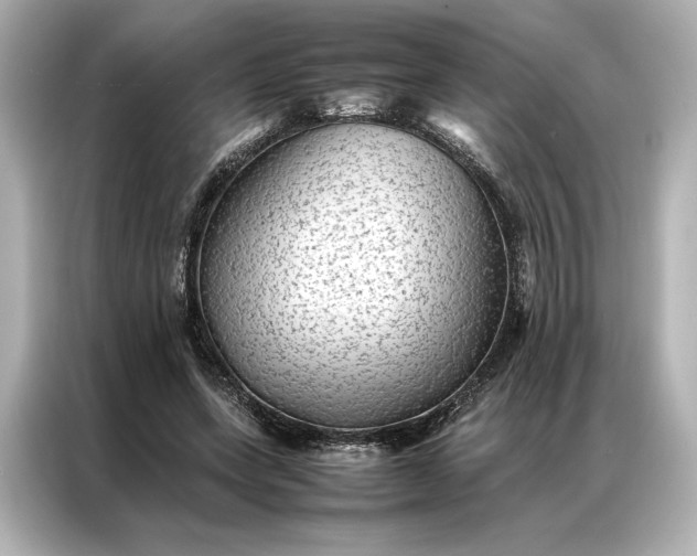 X0000086890543200704300959