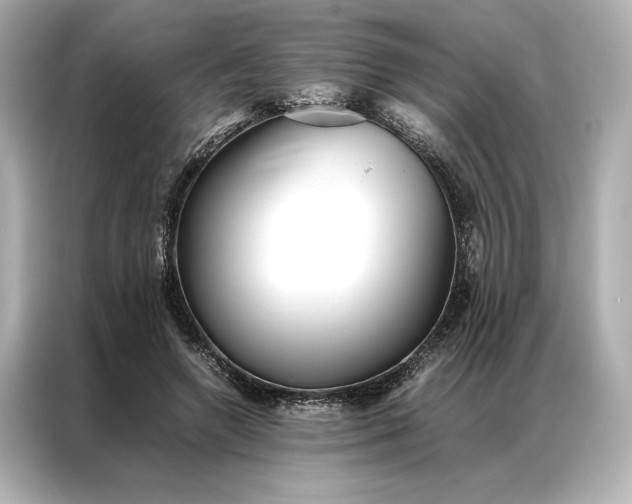 X0000086890546200704300959