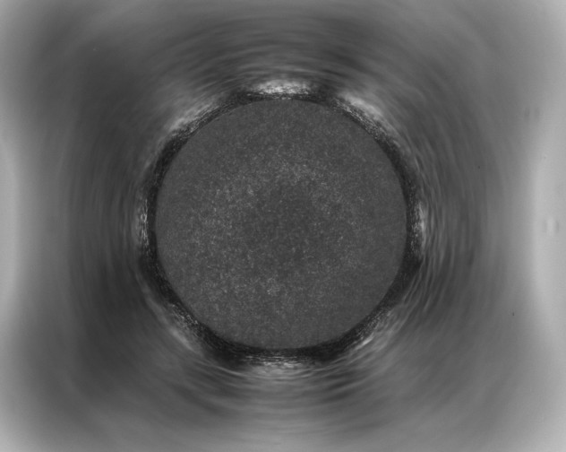 X0000086890547200704300959