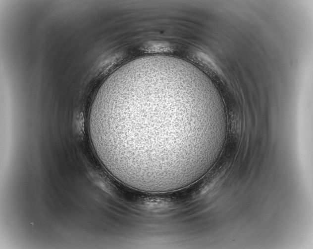 X0000086890549200704300959