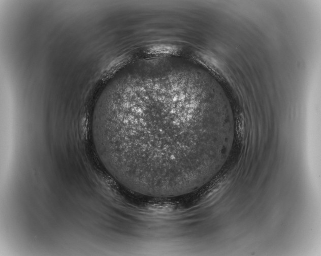 X0000086890551200704300959