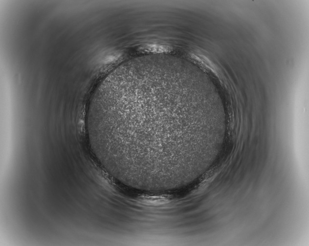 X0000086890553200704300959