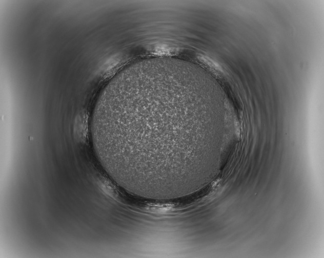 X0000086890554200704300959