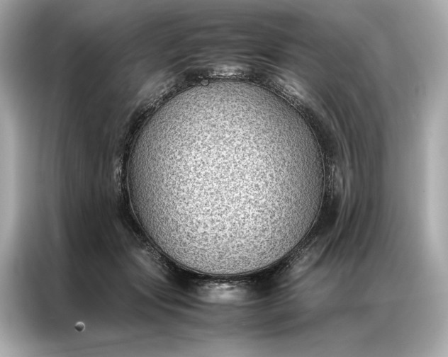 X0000086890557200704300959