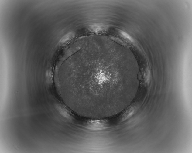 X0000086890558200704300959