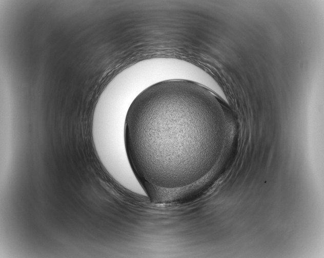 X0000086890564200704300959