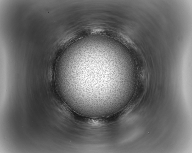 X0000086890565200704300959