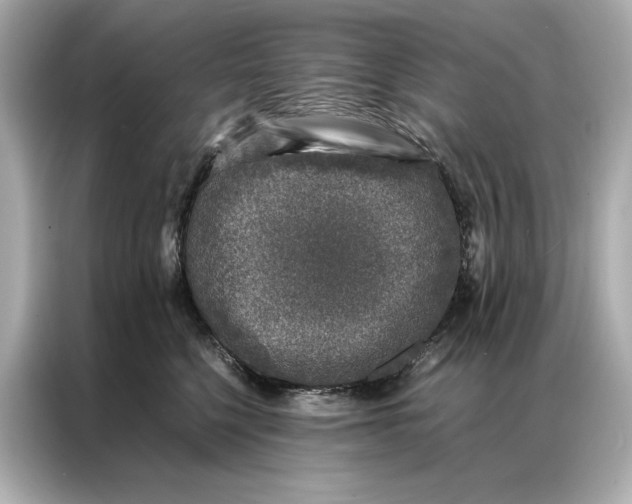 X0000086890568200704300959