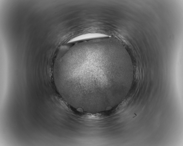 X0000086890569200704300959