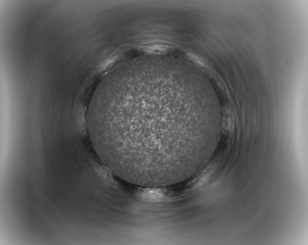 X0000086890573200704300959