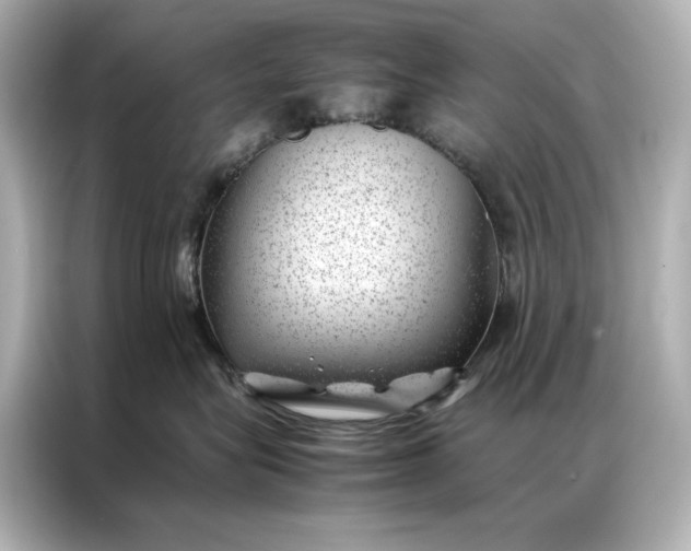 X0000086890575200704300959