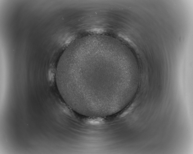 X0000086890576200704300959