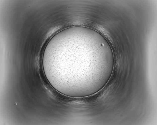 X0000086890578200704300959