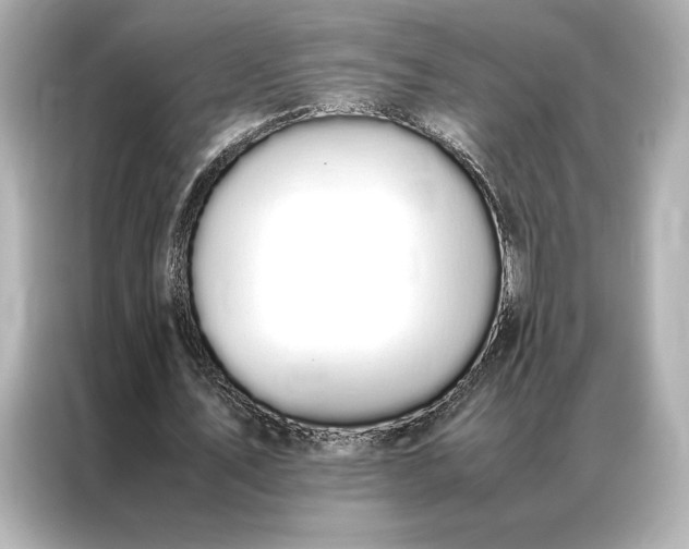 X0000086890579200704300959