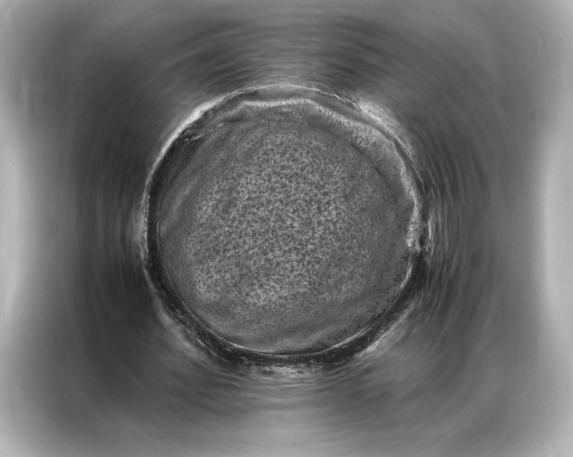 X0000086890580200704300959