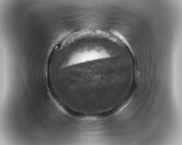 X0000086890581200704300959