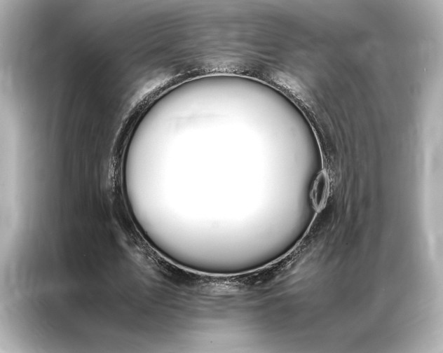 X0000086890583200704300959