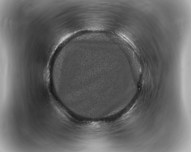 X0000086890584200704300959