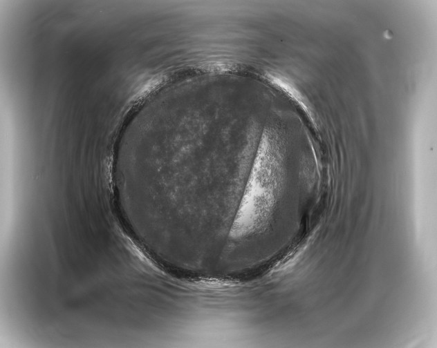 X0000086890585200704300959