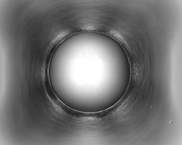 X0000086890586200704300959