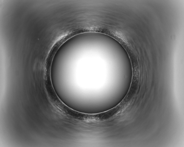 X0000086890587200704300959