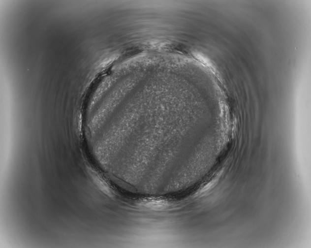 X0000086890589200704300958