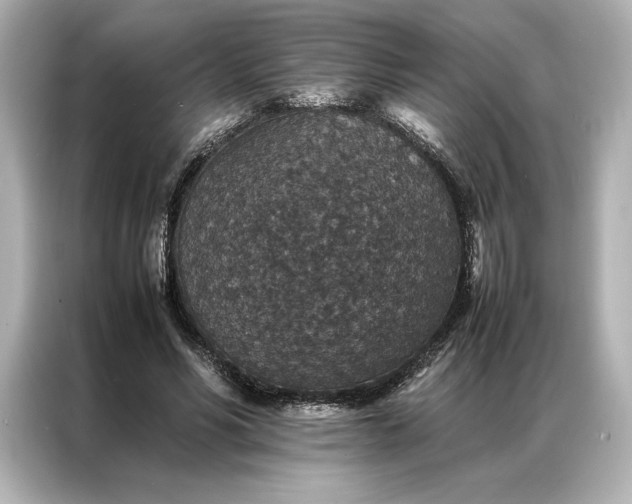 X0000086890590200704300958