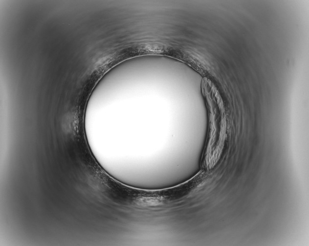 X0000086890595200704300958