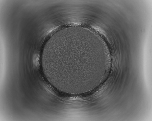 X0000086890596200704300958